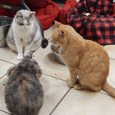 photo_five